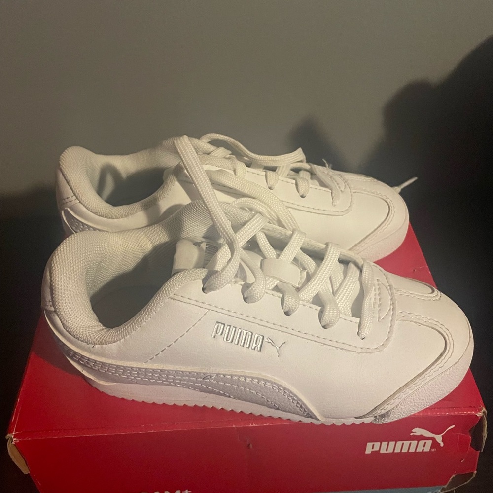 White Puma